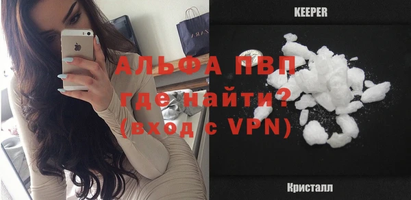 индика Бронницы
