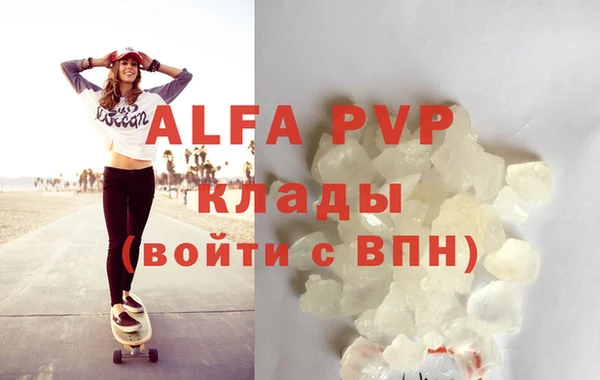 a pvp Бородино