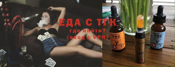 индика Бронницы