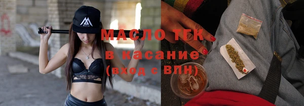 индика Бронницы