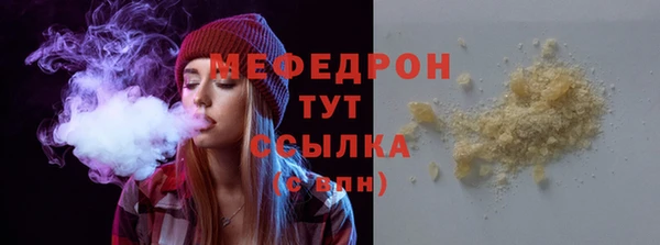 индика Бронницы