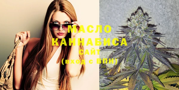 индика Бронницы
