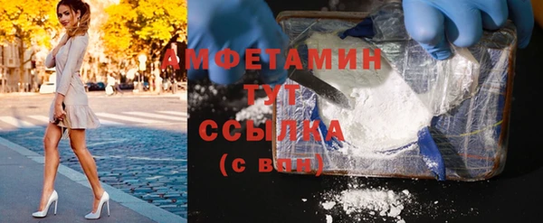 a pvp Бородино