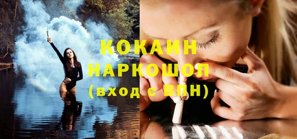 индика Бронницы
